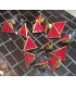 PIN TRIANGULO ROJO