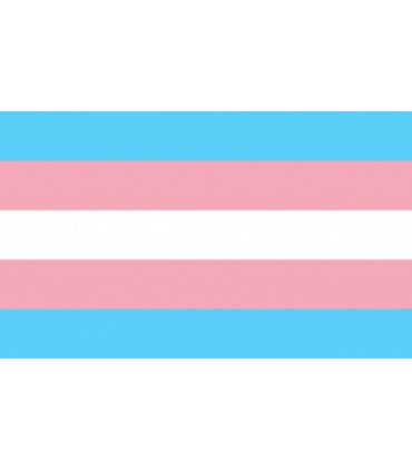 BANDERA TRANSGÉNERO
