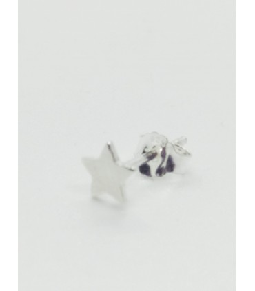PENDIENTE ESTRELLA PLATA