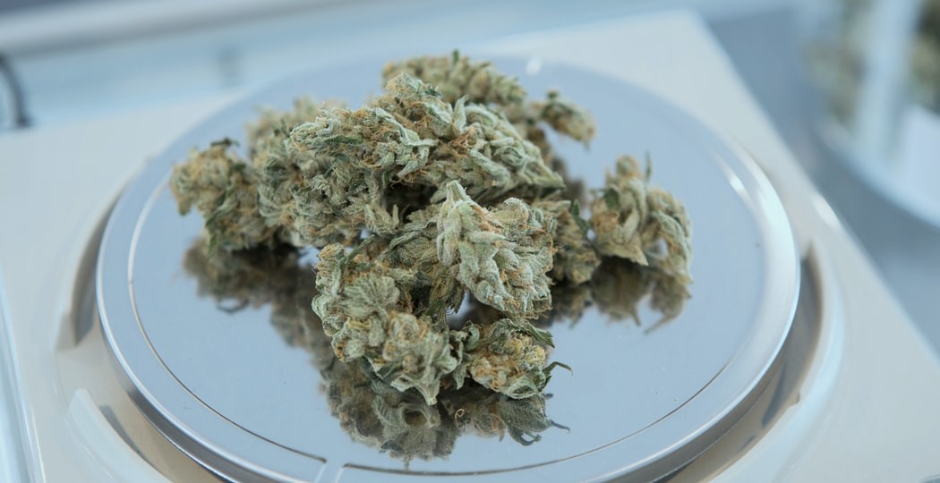 Balanza Grow: cómo elegir la adecuada