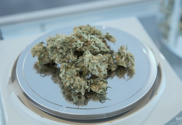 Balanza Grow: cómo elegir la adecuada