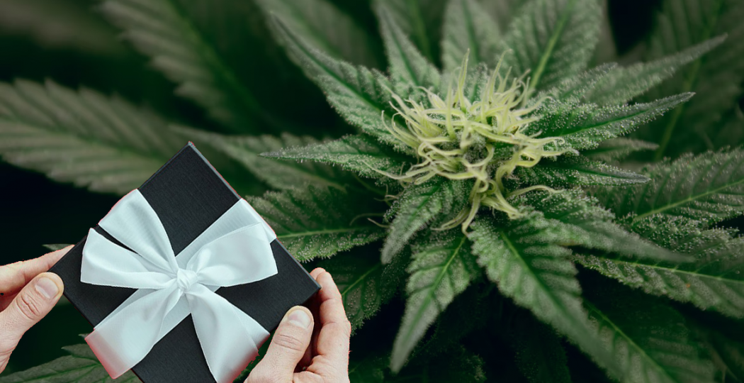 Ideas de regalos para fumadores de marihuana