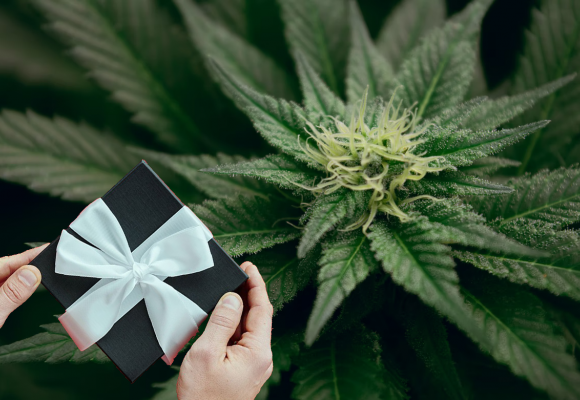 Ideas de regalos para fumadores de marihuana