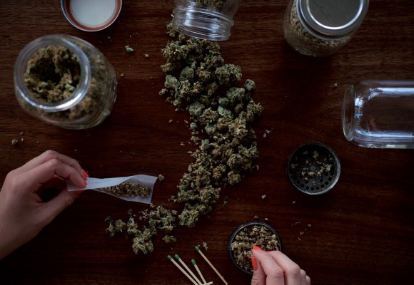 Grow indoors: tips para cultivar marihuana en interiores